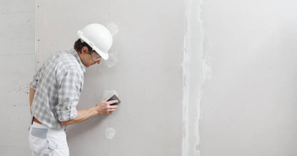 Best Forensic Mold Investigation  in Thruston, KY