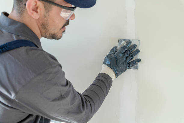 Best Dehumidification Services  in Thruston, KY