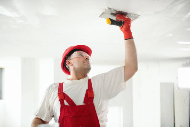 Best Post-Remediation Verification Testing  in Thruston, KY
