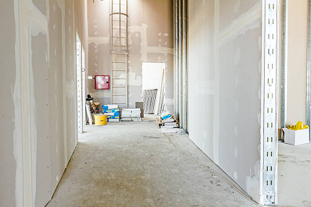  Thruston, KY Mold Removal Pros