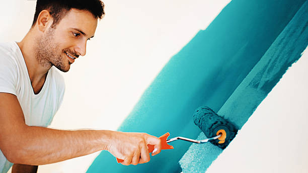 Best Black Mold Removal  in Thruston, KY