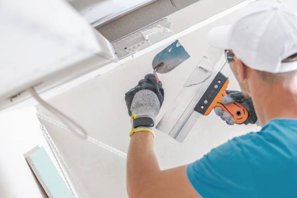 Best Industrial Mold Remediation  in Thruston, KY